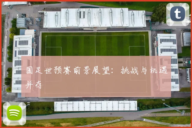 国足世预赛前景展望:挑战与机遇并存